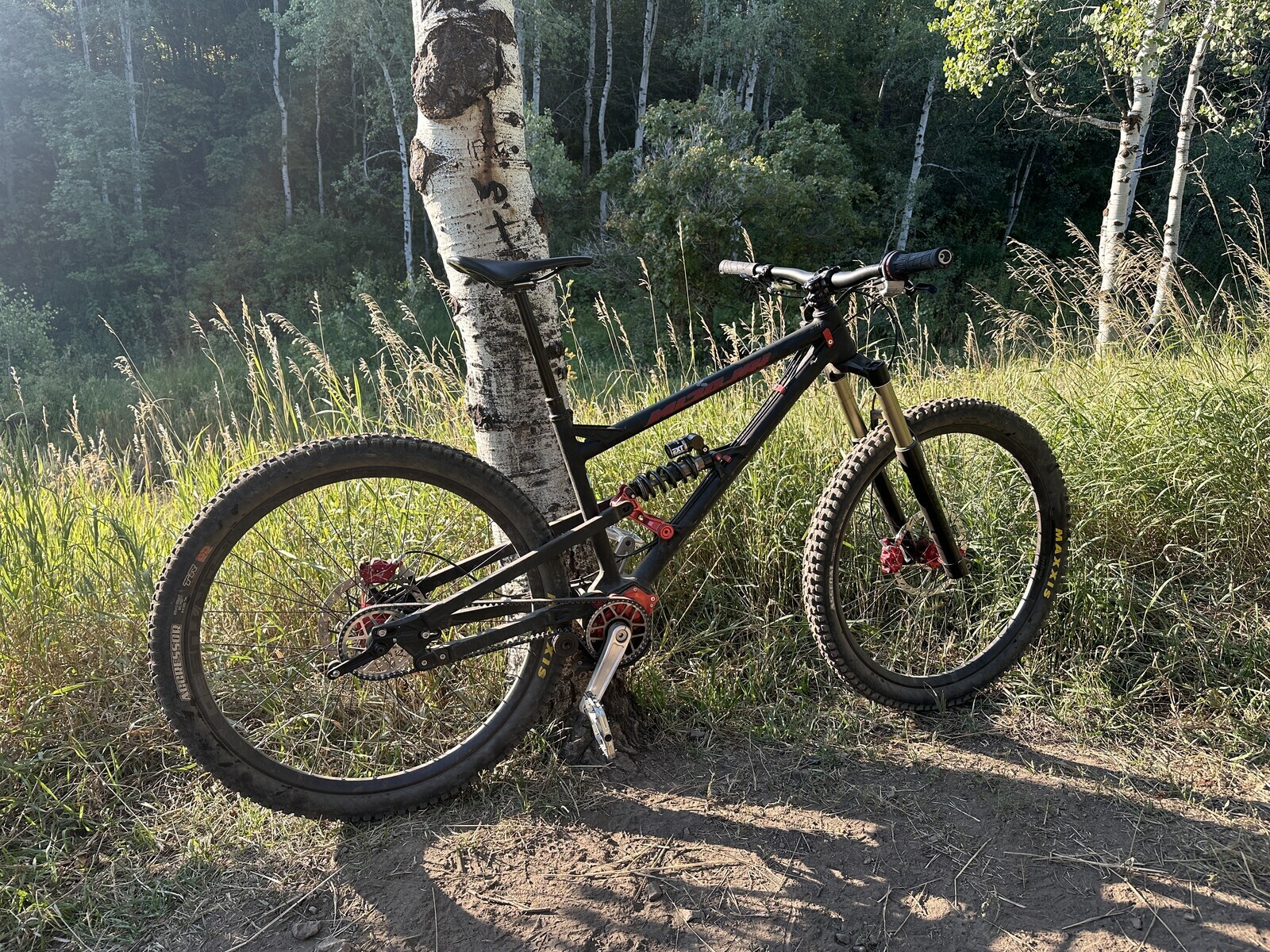 Nicolai ION G15 GPI